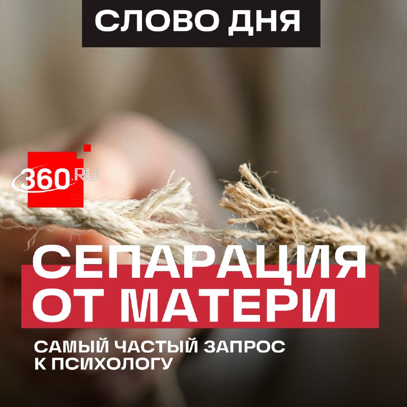 Фото поста канала  360.ru