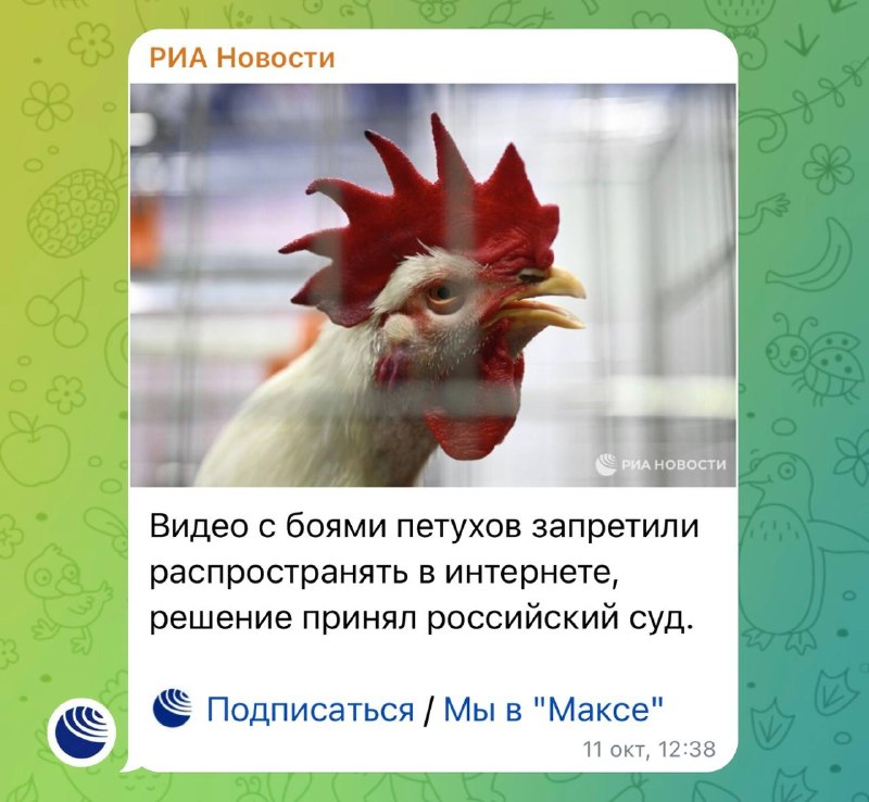 Фото поста канала  Соловьиный Помёт