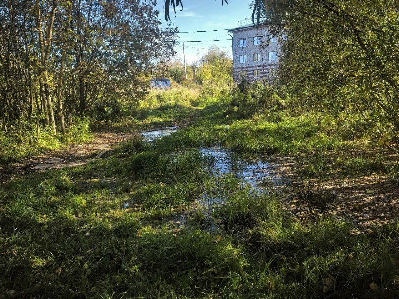 Фото поста канала  Кировчано