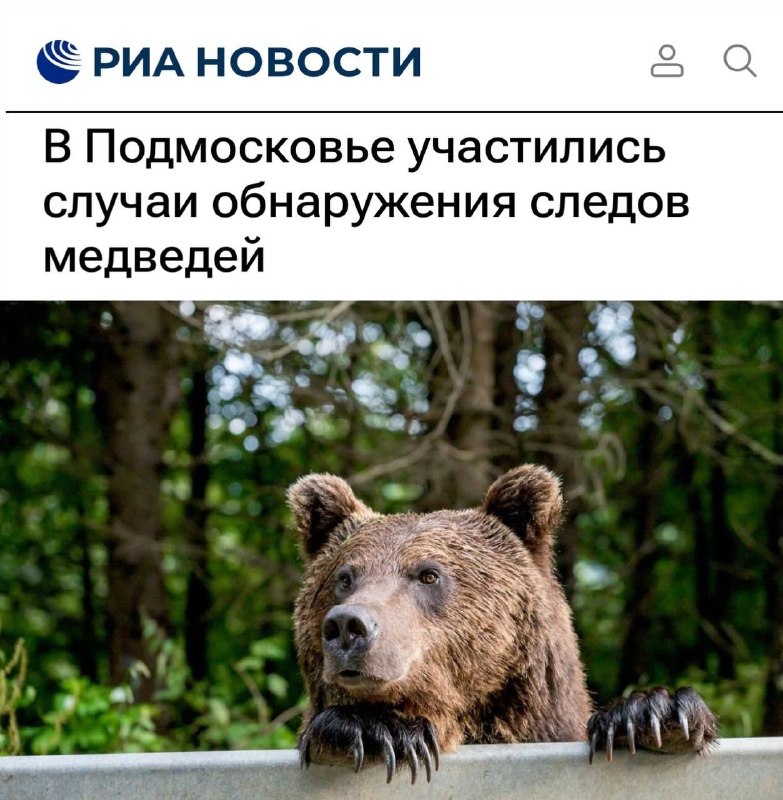 Фото поста канала  Карельский бальзам | Новости