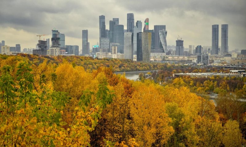 Фото поста канала  СИГНАЛ
