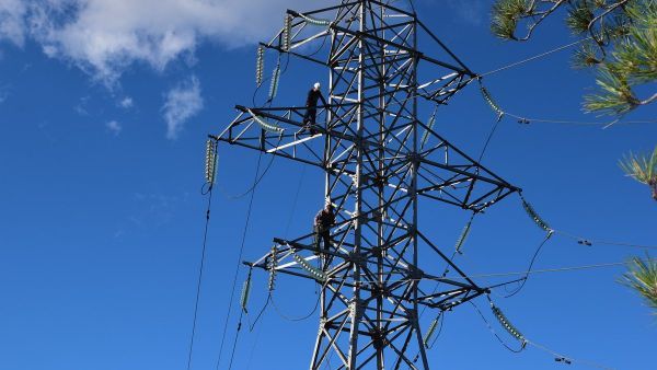 Фото поста канала  Лента новостей Крыма Z Новости Крыма