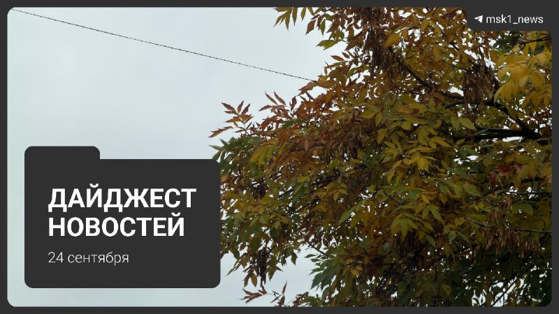 Фото поста канала MSK1.RU | Новости Москвы | Россия