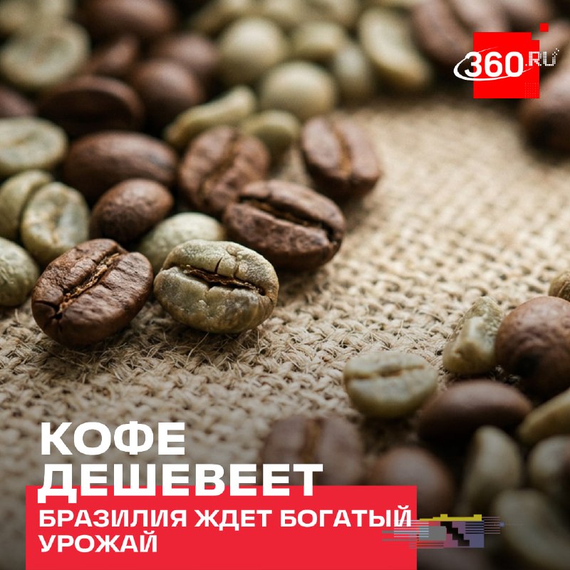 Фото поста канала  360.ru