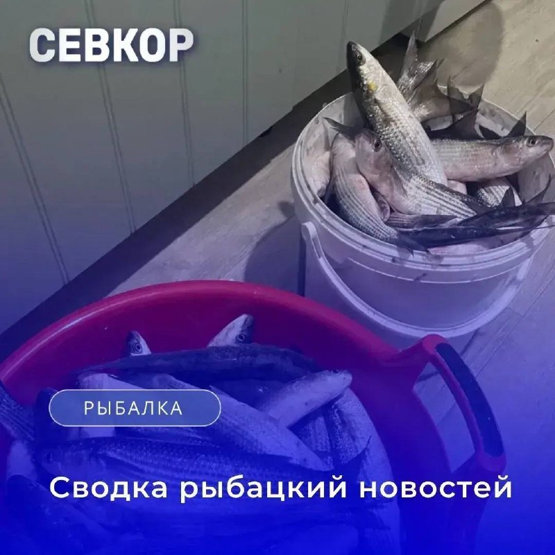 Фото поста канала  Оперативный Севастополь
