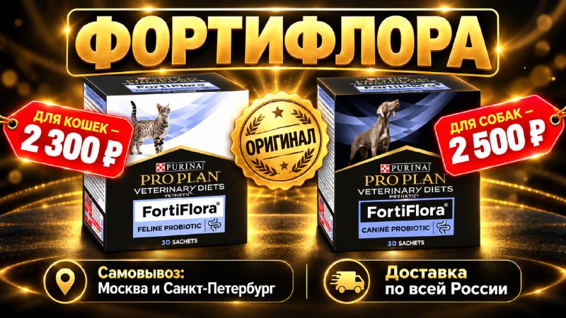 Фото поста канала шерстяные проказники • коты