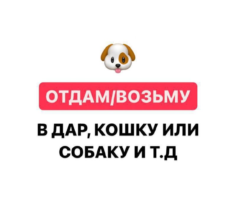 Фото поста канала  Типичный Апшеронск