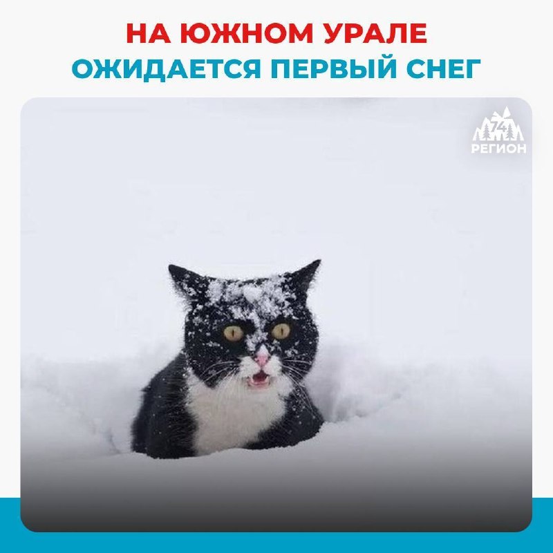 Фото поста канала  Регион 74 | Южный Урал и Челябинск