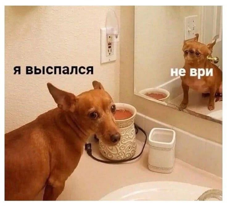 Фото поста канала  ИА ЛАБЫТНАНГИ