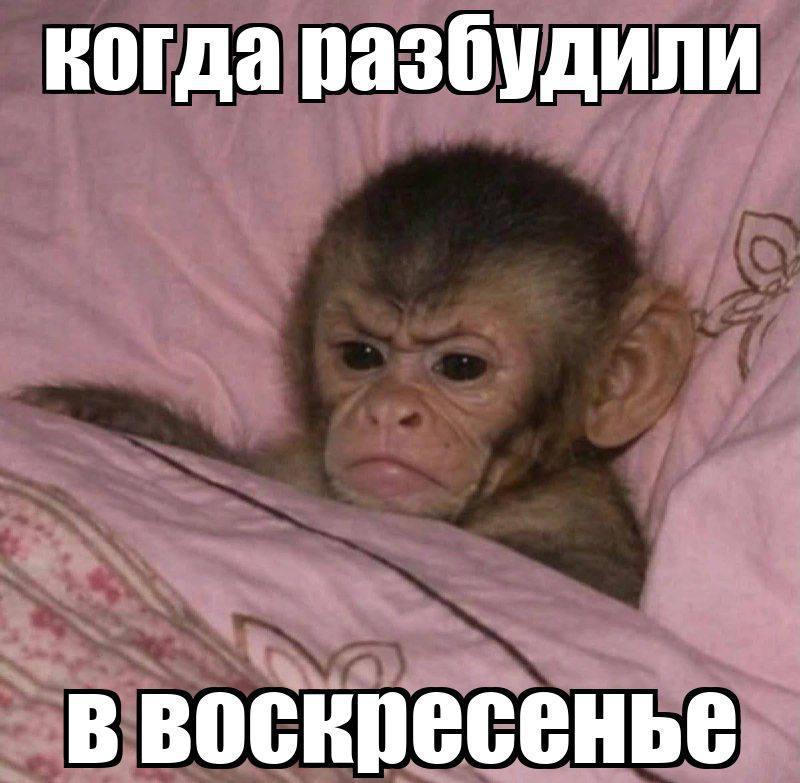 Фото поста канала Onliner