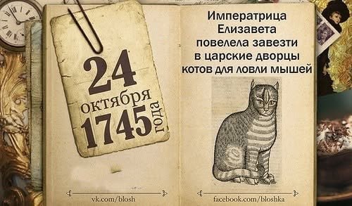 Фото поста канала  Мирослава Бердник