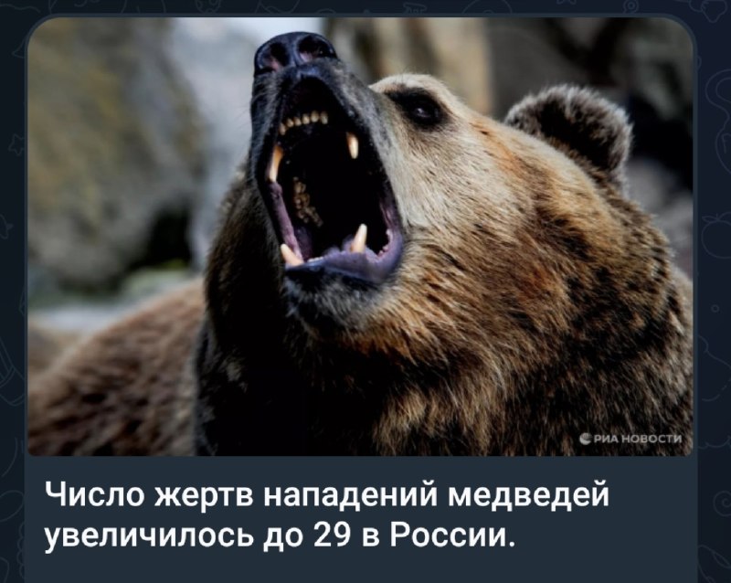 Фото поста канала Тринадцатый