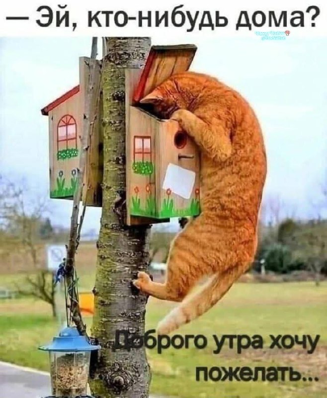 Фото поста канала  Ходють тут всякие!🍄