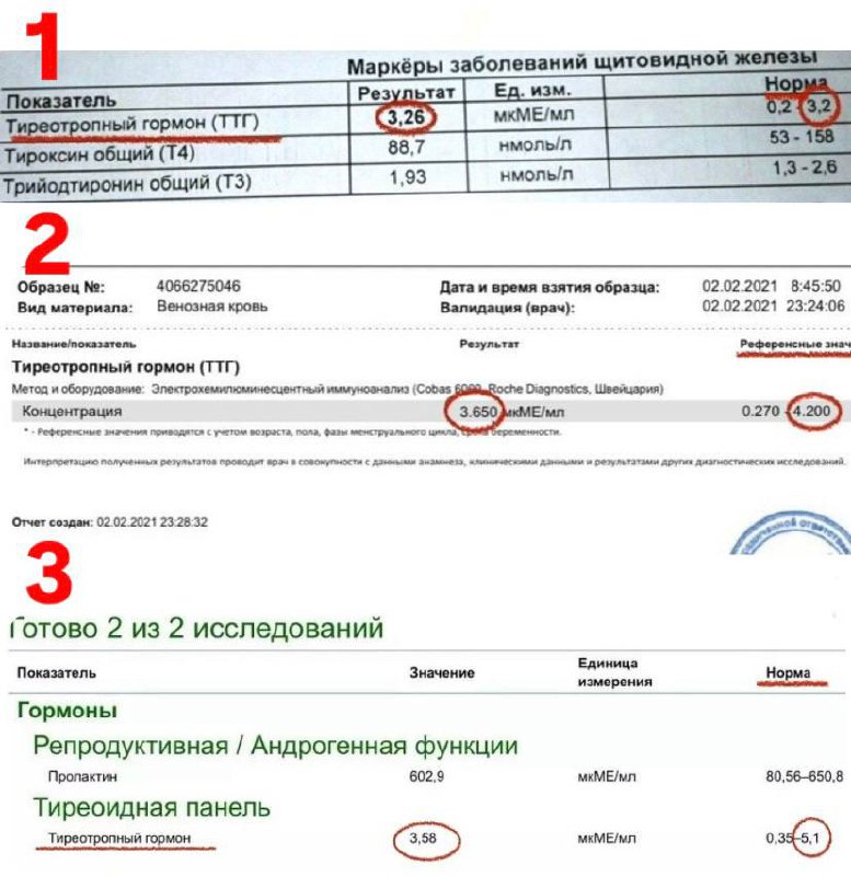 Фото поста канала Гастроэнтеролог Ольга Помойнецкая