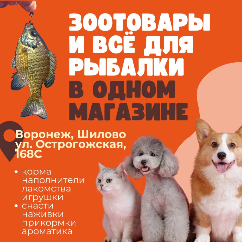 Фото поста канала  Тревожный Воронеж