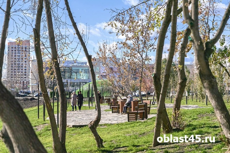 Фото поста канала  Область 45 | Курган