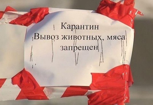 Фото поста канала  Воронцова вещает