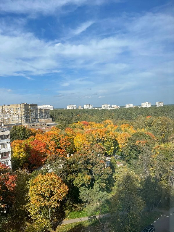 Фото поста канала ГородОК Жуковский Раменское