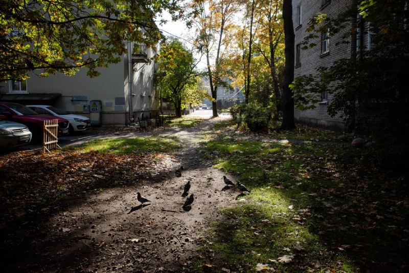 Фото поста канала  Бумага: всё о Петербурге