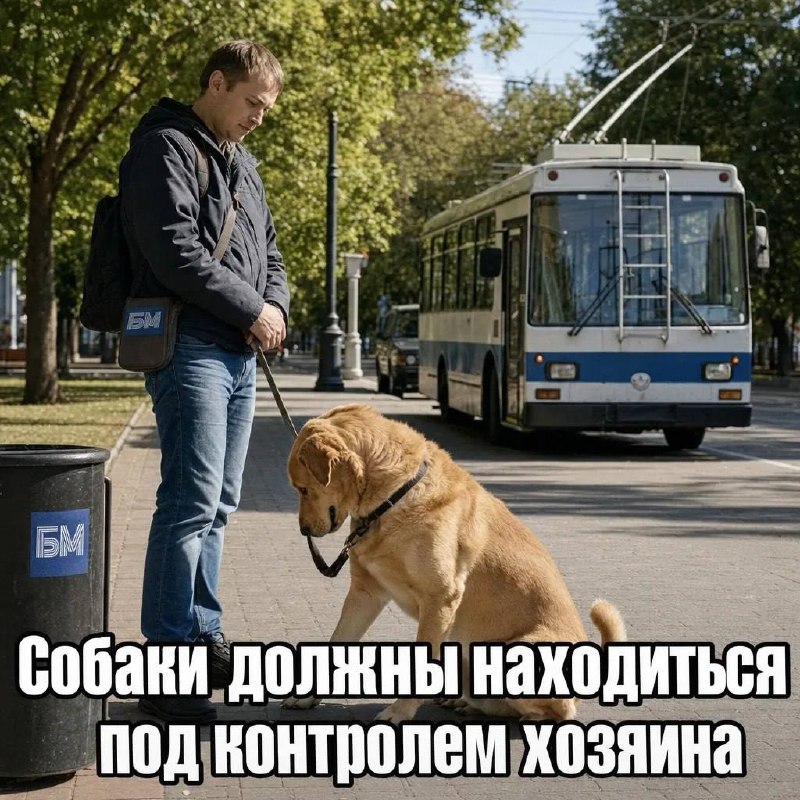 Фото поста канала  Северная сторона Севастополя