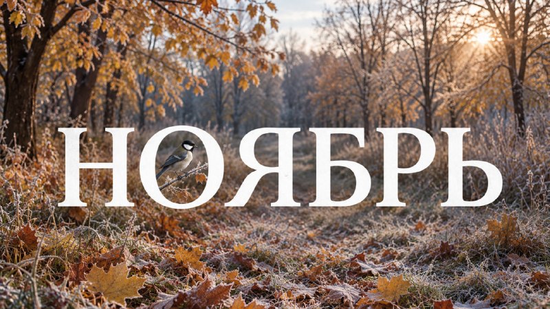 Фото поста канала Жирные коты
