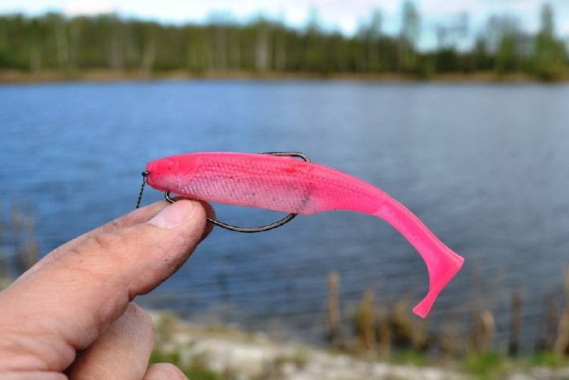 Фото поста канала Простая Рыбалка🐟