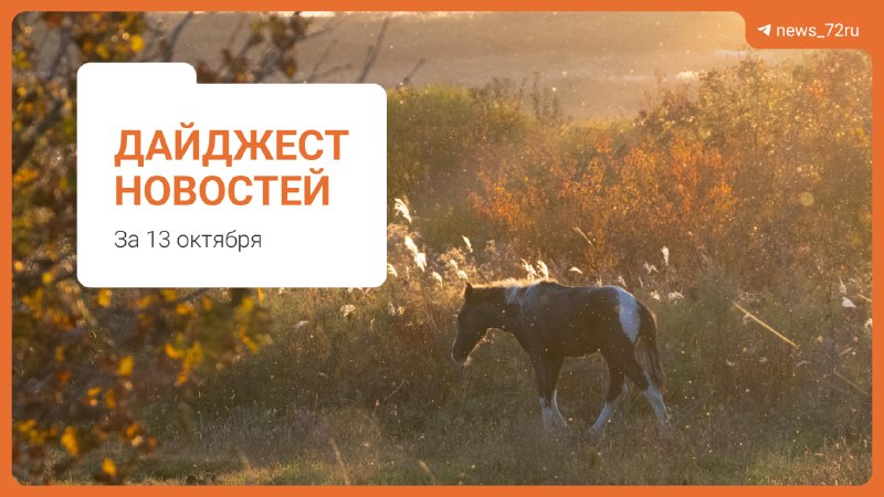 Фото поста канала  Новости Тюмени | 72.RU