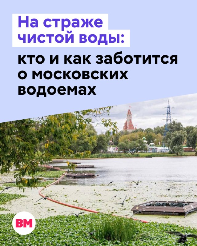 Фото поста канала  Вечерняя Москва
