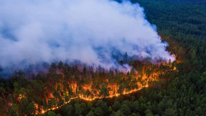 Фото поста канала  ДаВос
