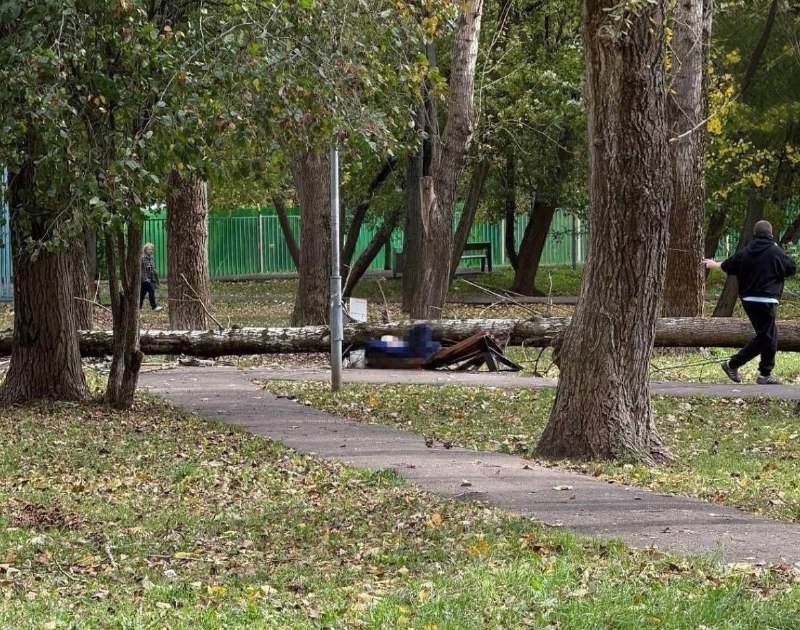 Фото поста канала Москва на максималках
