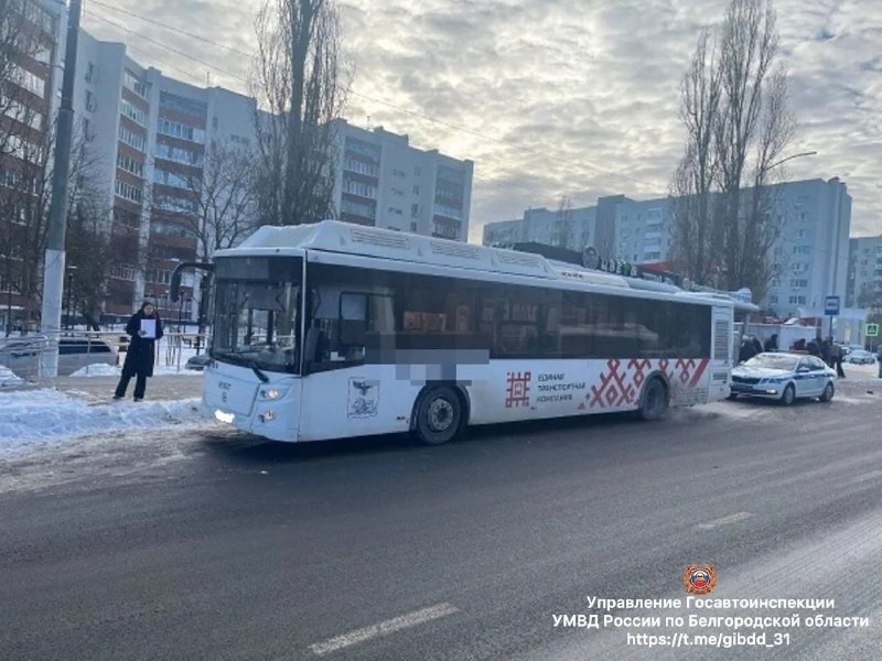 Фото поста канала  Белгород Новости