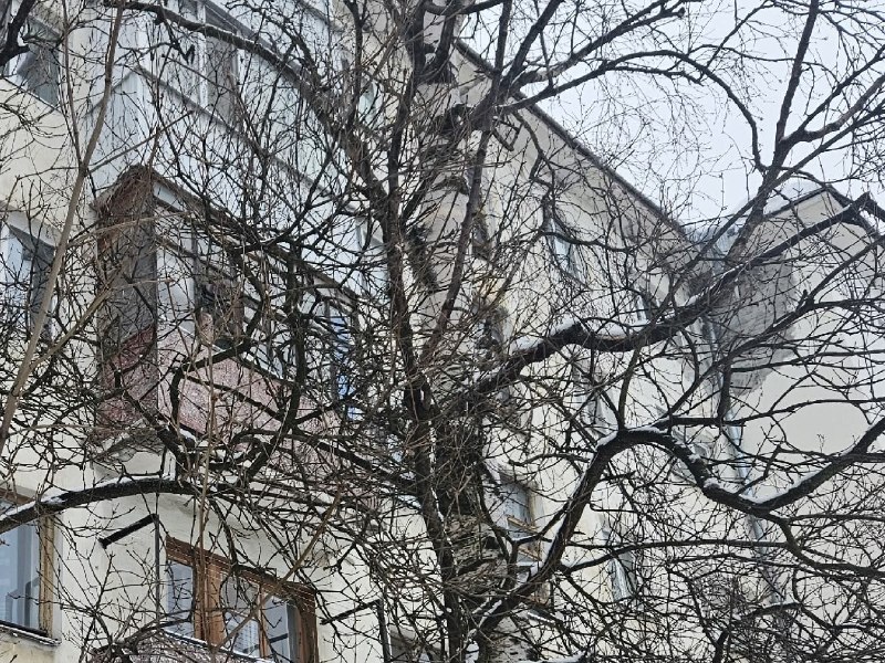 Фото поста канала  Эхо Севера
