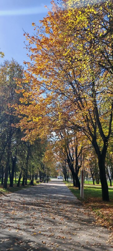Фото поста канала  MIRBY