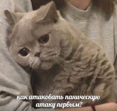 Фото поста канала  KOSTI