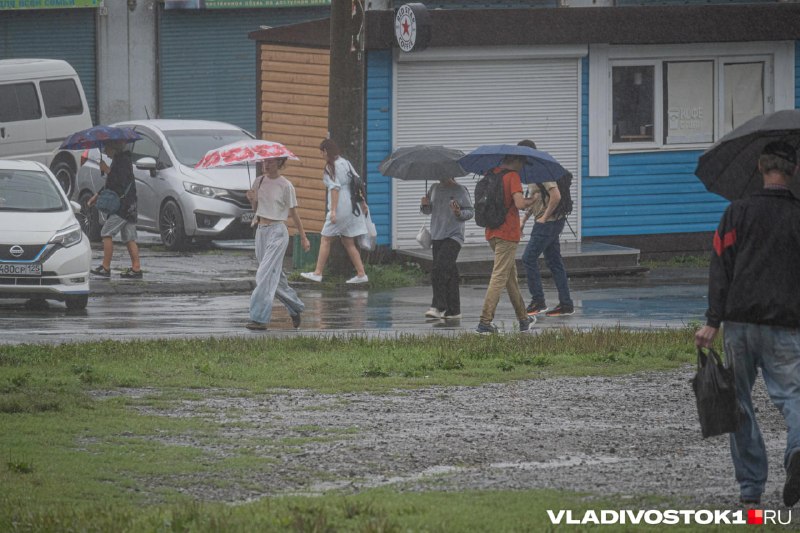 Фото поста канала  VLADIVOSTOK1.RU | Новости Приморья