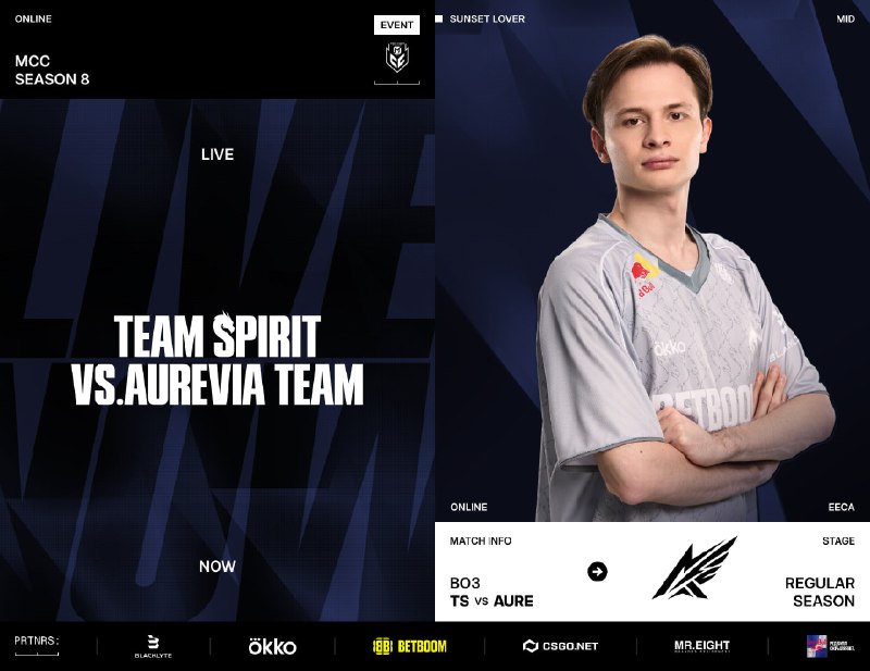 Фото поста канала Team Spirit MLBB