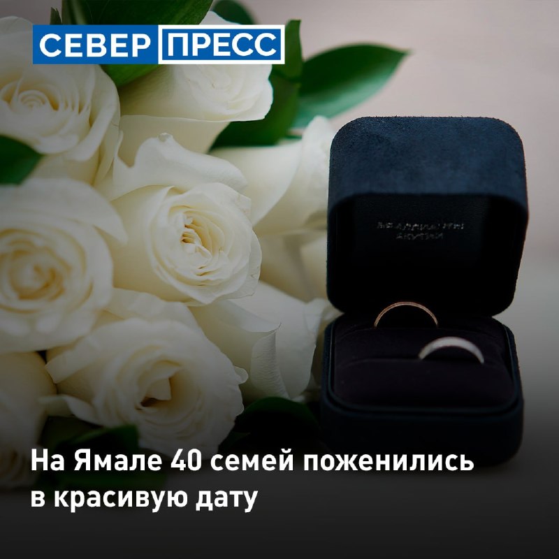 Фото поста канала  Мониторинг 89 Ямало-Ненецкий АО