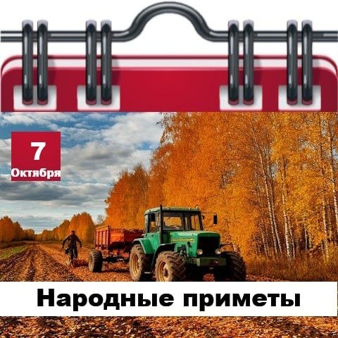 Фото поста канала  Жесть Шебекино