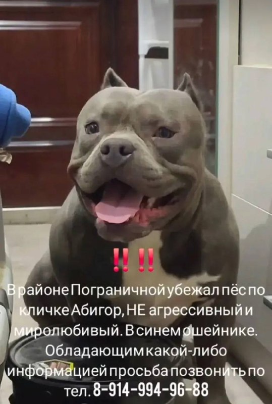 Фото поста канала  Камчатский Репортёр