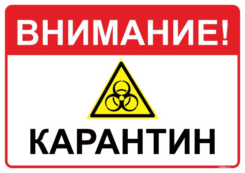 Фото поста канала  БашДТП | Bash.dtp.official