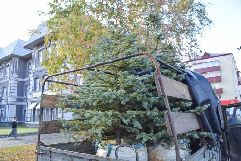 Фото поста канала  Мониторинг 45 Курганская область