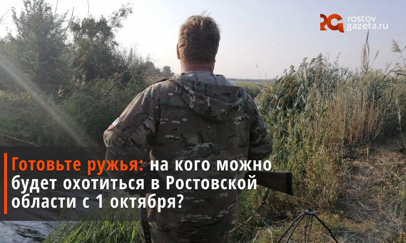 Фото поста канала  RostovGazeta.ru | Ростовская область