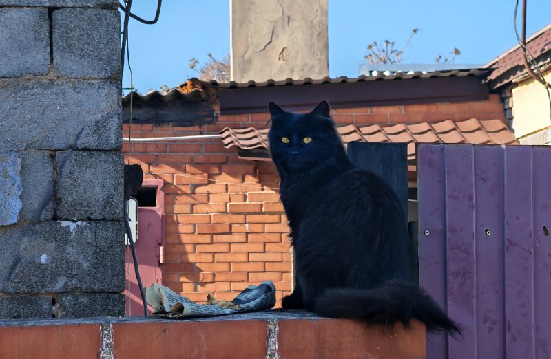 Фото поста канала  Мариуполь Наш