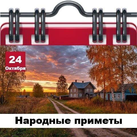 Фото поста канала  Жесть Шебекино