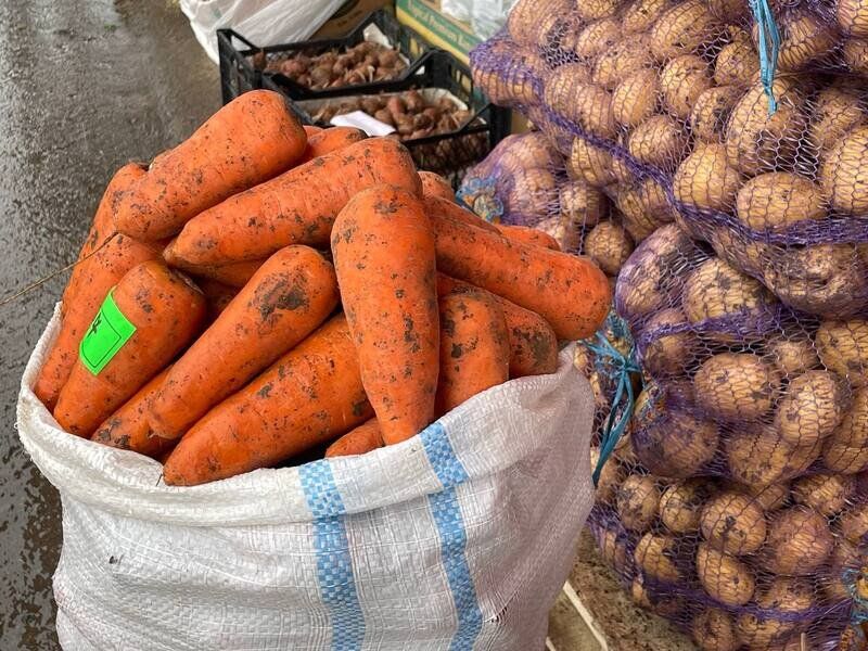 Фото поста канала  Лента новостей Крыма Z Новости Крыма