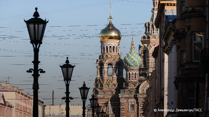 Фото поста канала  Коала Паэлья