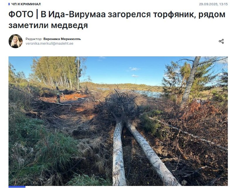 Фото поста канала  Кремлёвский пересмешник