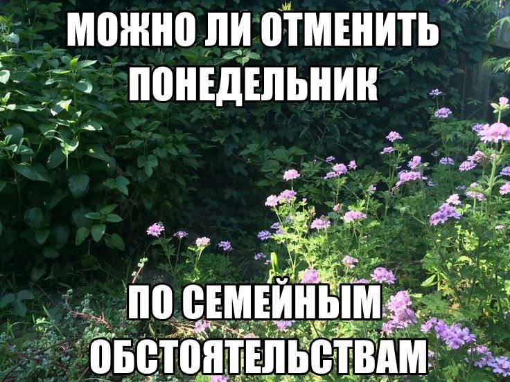 Фото поста канала  Properm.ru