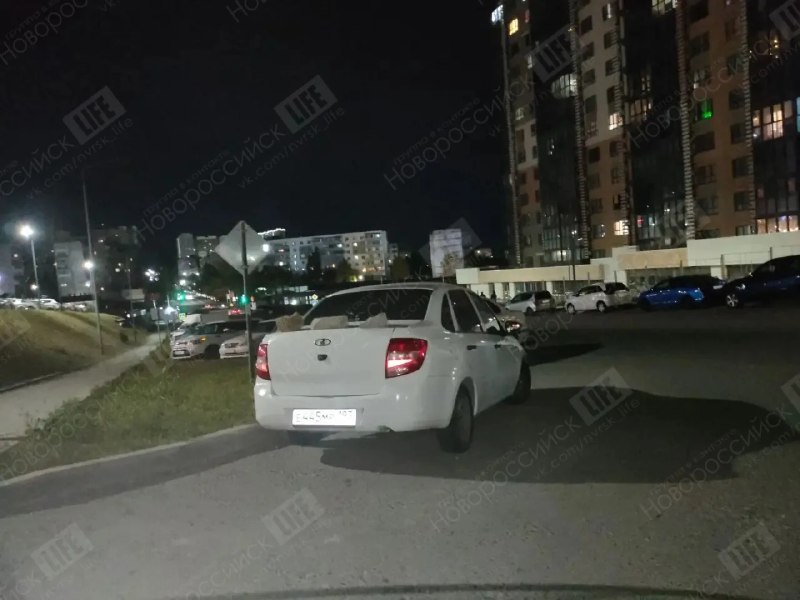 Фото поста канала  Новороссийск Life