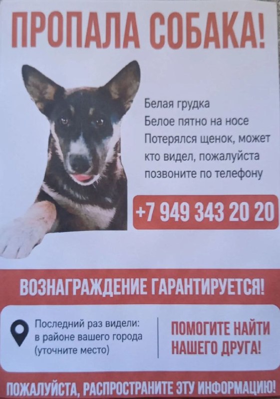 Фото поста канала  м-рн.Текстильщик [Донецк🇷🇺]